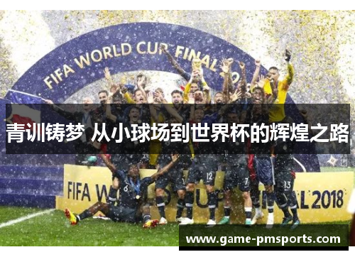 青训铸梦 从小球场到世界杯的辉煌之路