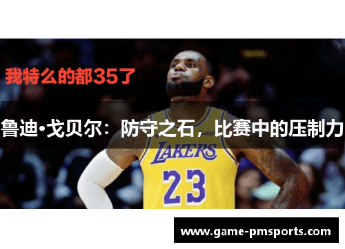 鲁迪·戈贝尔：防守之石，比赛中的压制力