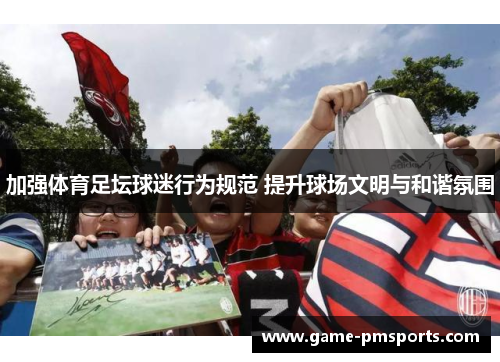 加强体育足坛球迷行为规范 提升球场文明与和谐氛围