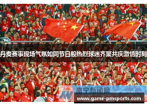 丹麦赛事现场气氛如同节日般热烈球迷齐聚共庆激情时刻