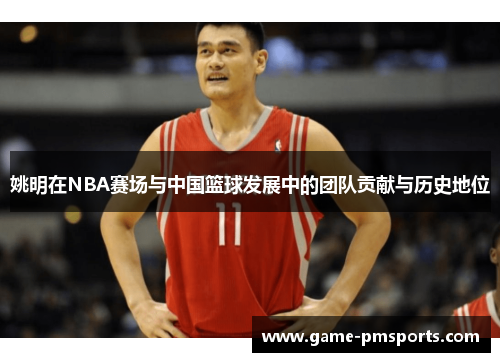 姚明在NBA赛场与中国篮球发展中的团队贡献与历史地位