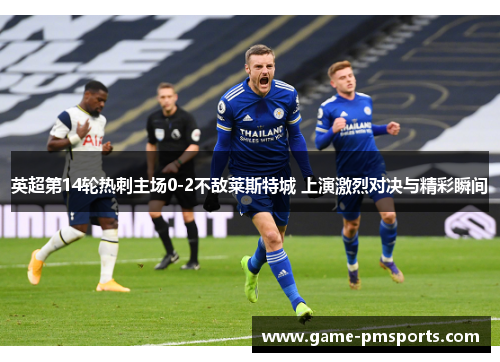 英超第14轮热刺主场0-2不敌莱斯特城 上演激烈对决与精彩瞬间