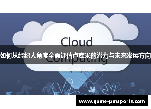 如何从经纪人角度全面评估卢库米的潜力与未来发展方向