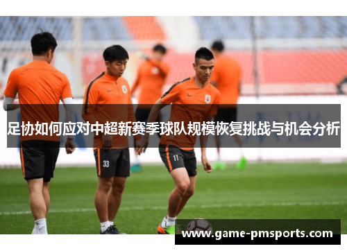 足协如何应对中超新赛季球队规模恢复挑战与机会分析