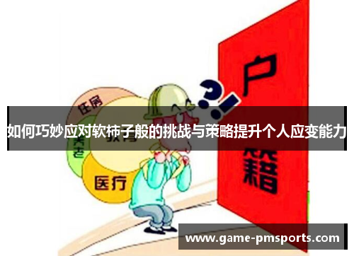 如何巧妙应对软柿子般的挑战与策略提升个人应变能力