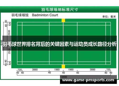 羽毛球世界排名背后的关键因素与运动员成长路径分析