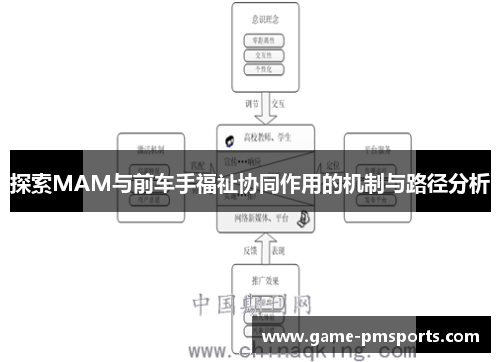 探索MAM与前车手福祉协同作用的机制与路径分析