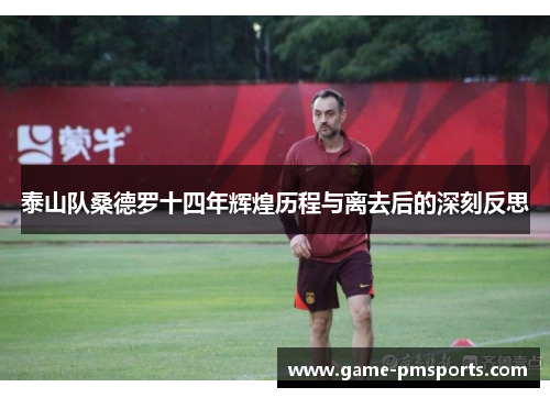 泰山队桑德罗十四年辉煌历程与离去后的深刻反思