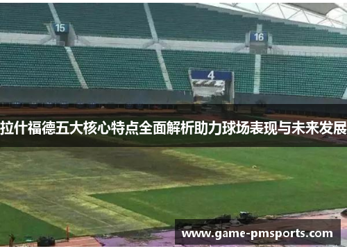 拉什福德五大核心特点全面解析助力球场表现与未来发展
