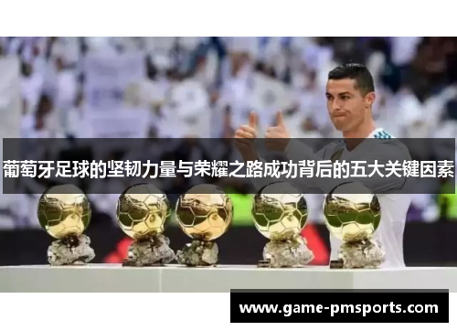 葡萄牙足球的坚韧力量与荣耀之路成功背后的五大关键因素